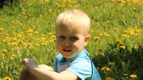 Fair-haired boy in a clearing among the flowers and dandelions  