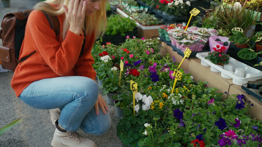 Beautiful blonde woman wear hat and smelling fresh bouquet of yellow sunflowers while shopping at an outdoor flower market stall, enjoy fragrant scent of blooms
