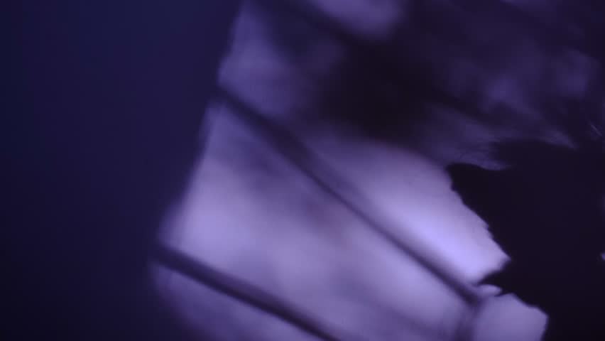Shadow of Creepy doll, grunge, noise, soft blurred and cinematic. Horror. Mystery silhouette of scarecrow. Spooky