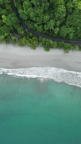 Vertical aerial shot of a beach and coastline lined with palm trees, crystal-clear waters, and waves on a morning in Manuel Antonio, Costa Rica