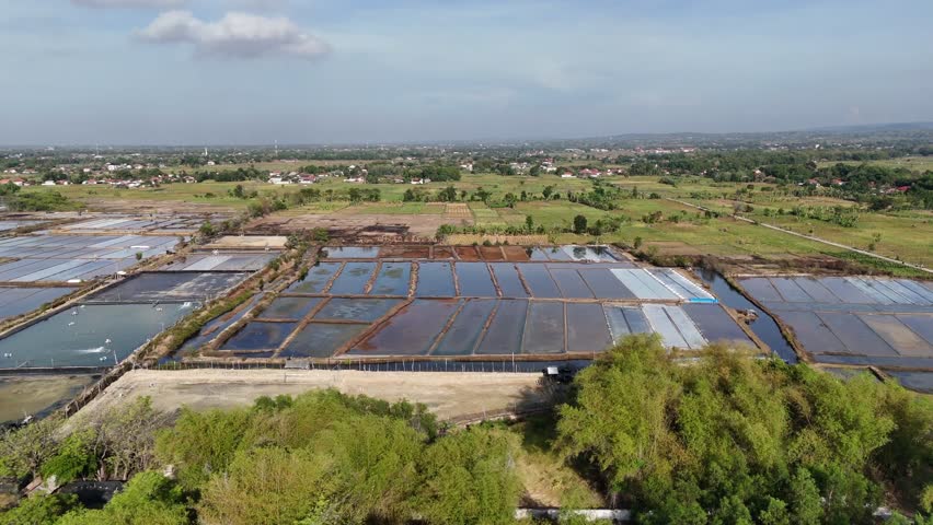 Aerial view of rectangular fish ponds and salt pond and green farmland in rural area under clear blue sky