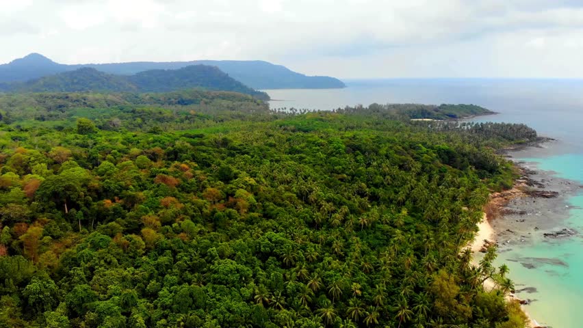 Tropical island paradise with lush green forest and turquoise ocean coastline