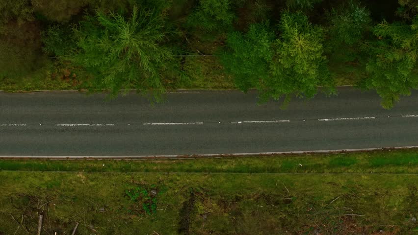 Blue car towing small trailer driving along empty forest road viewed from above. Automobile moving through green countryside reducing emissions and supporting clean atmosphere sustainability