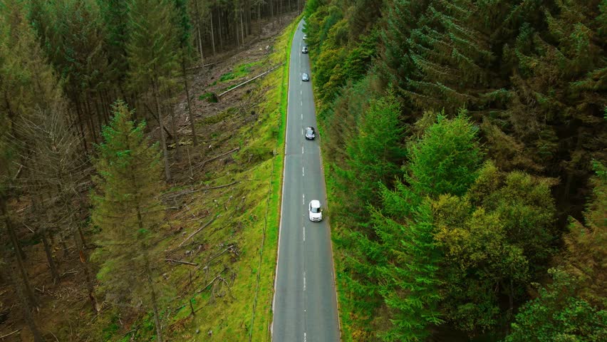 Cars driving through long forest road between green hills and trees. Vehicles moving through rural valley releasing lower emissions and maintaining clean atmosphere sustainability. Traffic progressing