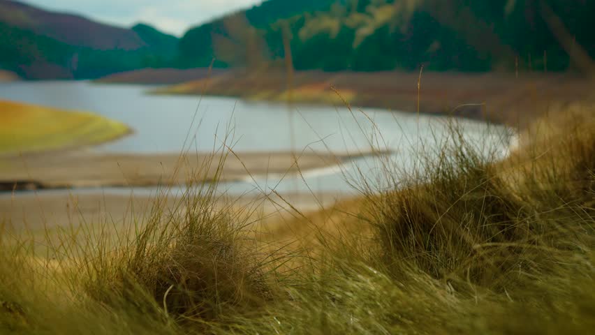 Serene landscape with flowing river and wild grass gently swaying in breeze. Serene and tranquil view of river gently winding through lush, green hills, featuring wild grass in foreground