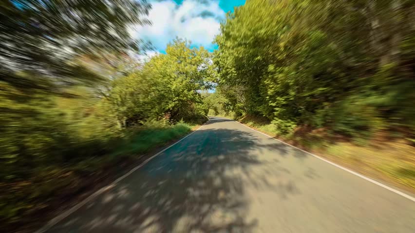 Car driving through countryside road lined with colorful trees under bright sky POV. SUV moving along scenic rural lane surrounded by autumn foliage first person view. Van cruising down peaceful