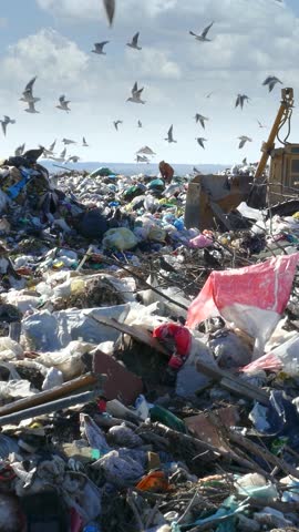 Garbage dump environmental pollution, earthmover bulldozer is working through massive piles of trash while many seagulls fly above. There are lots of plastic bags and bottles at landfill near the city