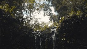Waterfall cascade trickles down lush green jungle rocks, smooth tilt down slow motion - Powered by Shutterstock - Get 15% off with code: PIKWIZARD15