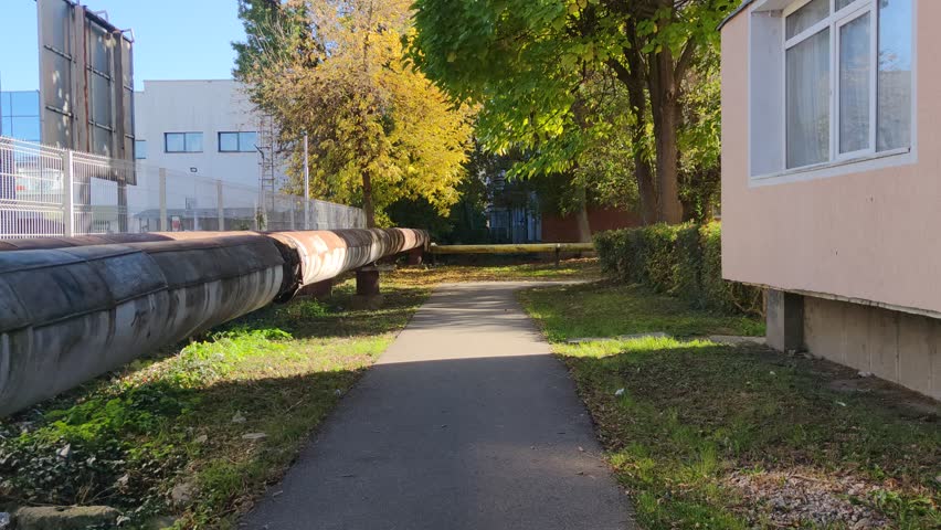 Autumn beautiful yellowed trees and sun in October