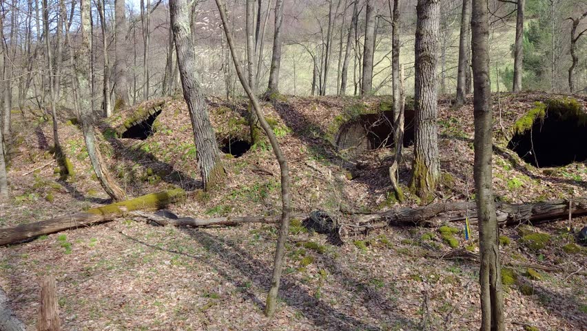 Abandoned Beehive Coke Ovens in Forest Near Coketon, West Virginia - for the making of steel back in the late 1800s