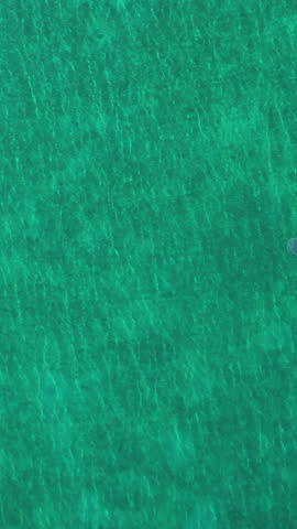 Vertical drone shot descending above a whale shark, diving in turquoise water