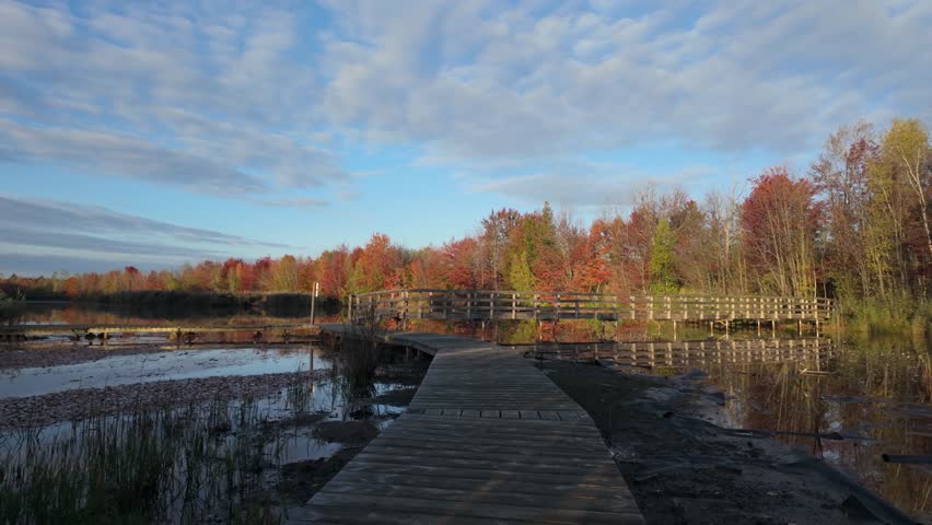 Boardwalk Over The River With Autumn Forest Trees In The Background Near Sainte-Julie In Quebec, Canada. POV Wide Shot