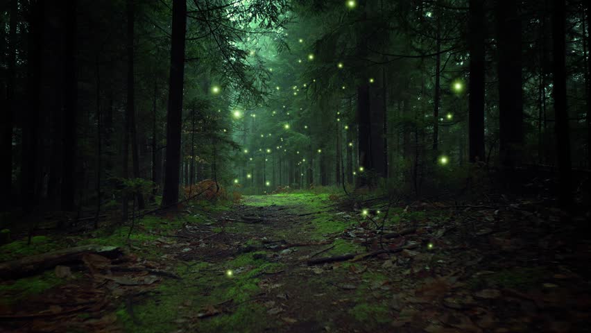 Glowing firefly lights in magic foggy green forest.