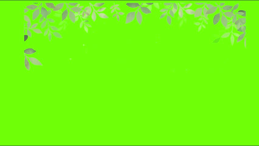 color full leaves hanging beautiful celebration season 3D animated video 4K animated video . animated in basic color .color full leaves hanging celebration season of animation video . animated icons .