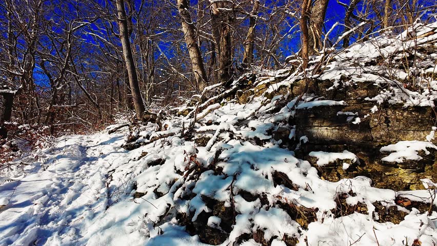Snowcovered trail under clear sky, serene snowy woodland path with sunlight and footprints
