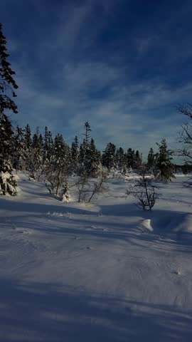 WInter cristals in early sunshine. WOnder winter world. Norway