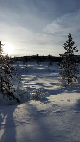 WInter cristals in early sunshine. WOnder winter world. Deep blue sky in winter in Norway