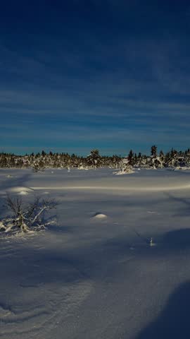 WInter cristals in early sunshine. WOnder winter world. Norway