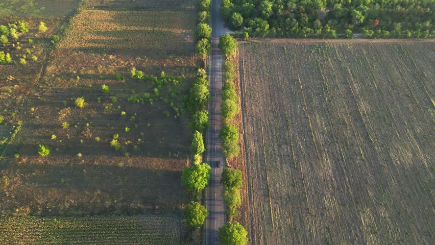 Drone view of tree lined country road and farmland at sunset