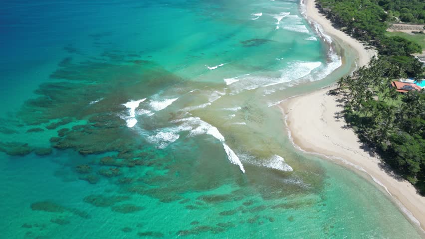 Wide drone sweep along Encuentro shoreline with surf, rocks, and palms. Ideal for cinematic landscapes and travel ads