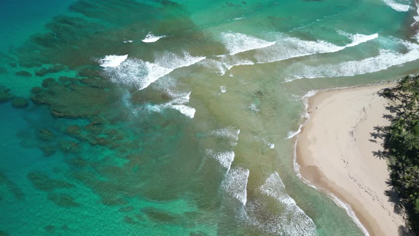 Drone aerial of Encuentro Beach surf zone, waves, and tropical coastline. Best for surfing lifestyle and travel stock
