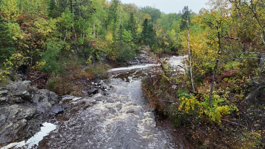An aerial view of a small stream with rapids and whitewater  with a rocky shore, flowing through a forest