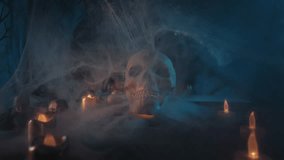 Halloween Spooky Environment Mist Skeleton - Powered by Shutterstock - Get 15% off with code: PIKWIZARD15