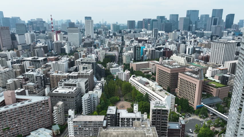 Aerial View Of Tokyo City Skyline In Daytime In Japan.