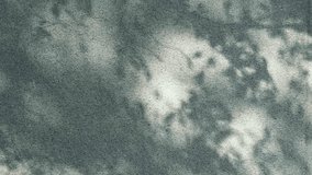 Shadow background of natural tree leaves on white wall texture. - Powered by Shutterstock - Get 15% off with code: PIKWIZARD15