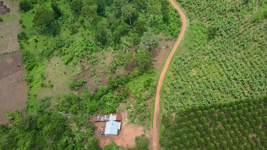 Drone landscape reveals a rural community layout, with agricultural activity and natural greenery dominating the scenery with mix of open fields, paths, and scattered homes.