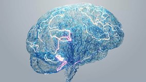 Human Brain Animation of Glowing Neural Networks, Electric Impulses and Digital Connection. Futuristic 3D Data for Technology, Science and Medical Project. Research Bright Background Loop Abstract 4k - Powered by Shutterstock - Get 15% off with code: PIKWIZARD15