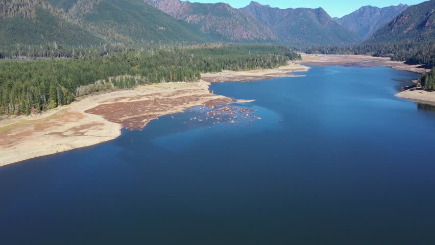 4K aerial drone footage of Wynoochee Lake dam in Olympic National Forest, Washington State, USA, showing clear blue water surrounded by evergreen forests and mountains under bright daylight, clear sky