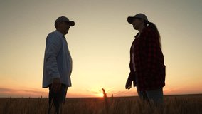 man and woman farmer evaluate tablet readings over wheat fields., farmer handshake in golden wheat at sunset, country collaboration: handshake across wheat rows, farmer woman reviews tablet data while - Powered by Shutterstock - Get 15% off with code: PIKWIZARD15