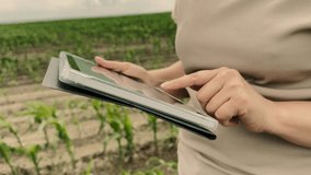 agriculture, farmer working corn field digital tablet, Next-gen agriculture, Smart field data, Integrated farm management, Farming digital transformation, Field technology solutions, Digital - Powered by Shutterstock - Get 15% off with code: PIKWIZARD15