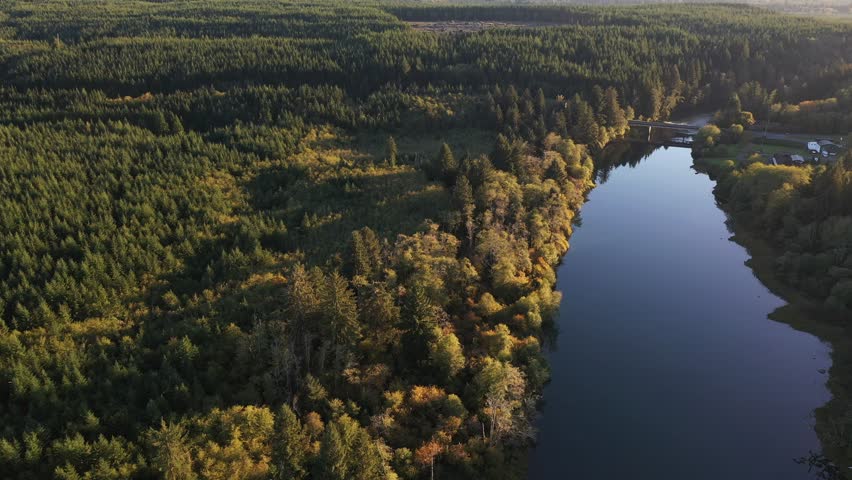 4K aerial drone footage of Quinault Lake in Olympic National Park, Washington State, USA, showing golden sunset light over calm blue water surrounded by evergreen forests and mountain landscape