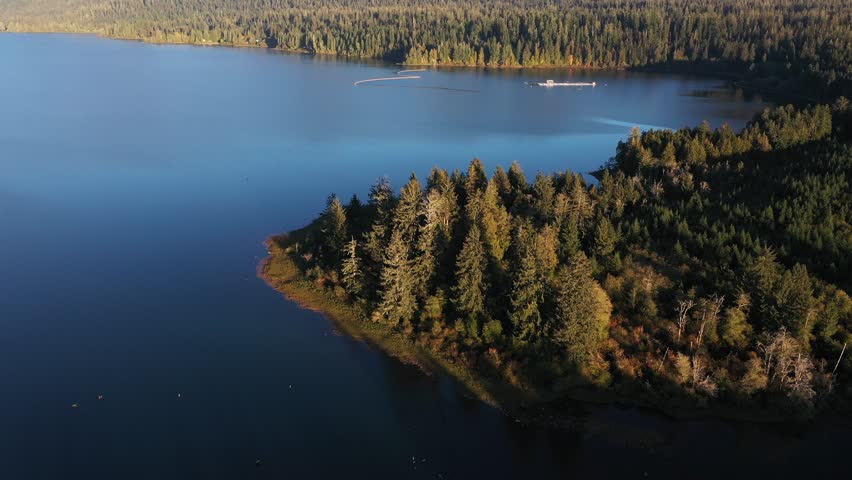 4K aerial drone footage of Quinault Lake in Olympic National Park, Washington State, USA, showing golden sunset light over calm blue water surrounded by evergreen forests and mountain landscape