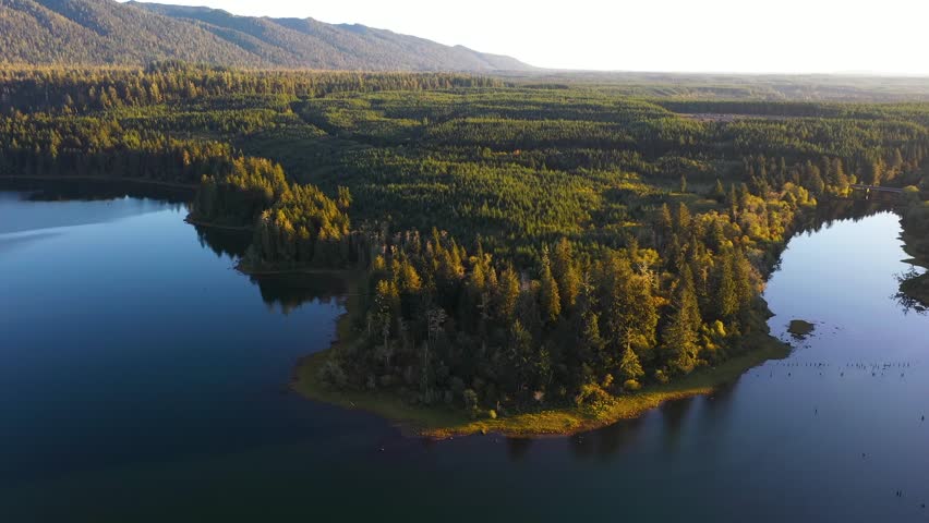 4K aerial drone footage of Quinault Lake in Olympic National Park, Washington State, USA, showing golden sunset light over calm blue water surrounded by evergreen forests and mountain landscape