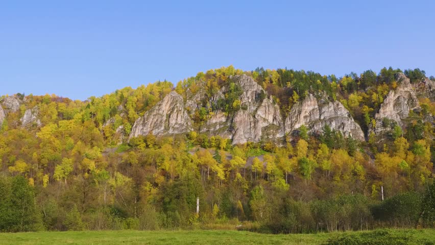 aerial footage showcasing the vibrant autumn foliage surrounding the majestic Rock Kalim Uscan in the scenic South Ural Mountains of Russia. The golden and reddish hues of the forest contrast beautifu