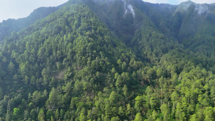 Aerial view of lush green mountains covered with dense forest and misty clouds under a bright sky.