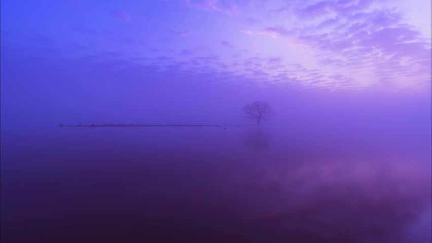 Misty purple sunrise over tranquil lake with lone tree silhouette and dock, creating dreamy atmospheric landscape scene perfect for meditation and relaxation content.
