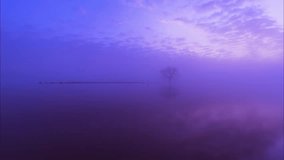Misty purple sunrise over tranquil lake with lone tree silhouette and dock, creating dreamy atmospheric landscape scene perfect for meditation and relaxation content. - Powered by Shutterstock - Get 15% off with code: PIKWIZARD15