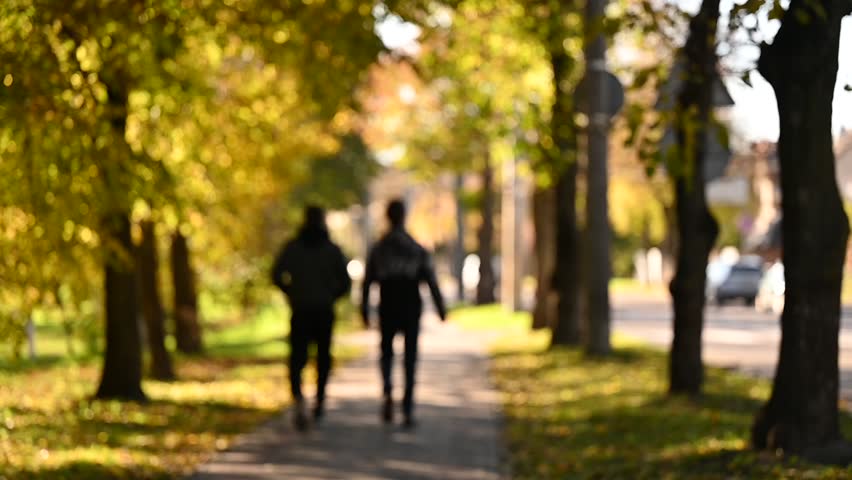  autumn park sunlight defocused background