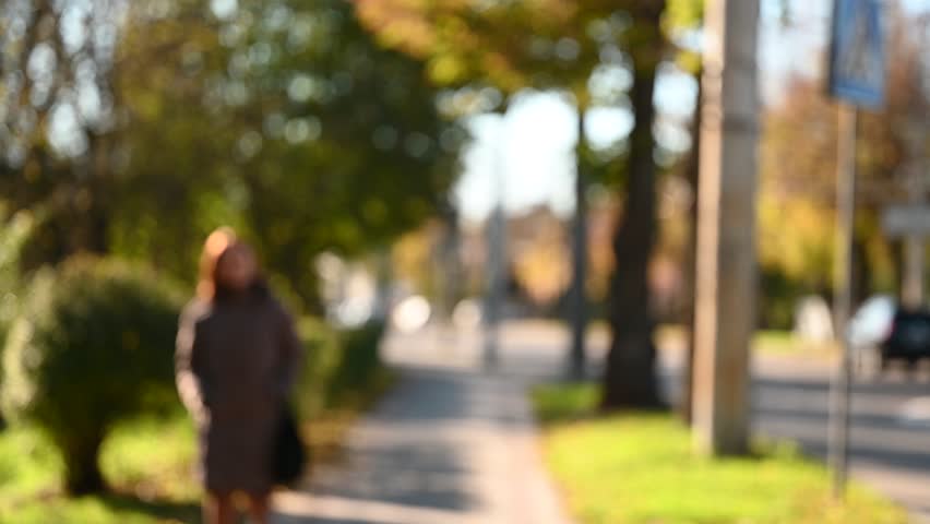  autumn park sunlight defocused background