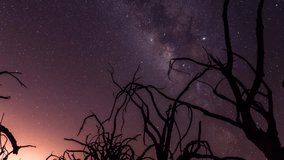Stunning Milky Way galaxy stretching across starry night sky above silhouetted dead tree branches in ancient Loulan desert region, perfect time lapse photography scene - Powered by Shutterstock - Get 15% off with code: PIKWIZARD15