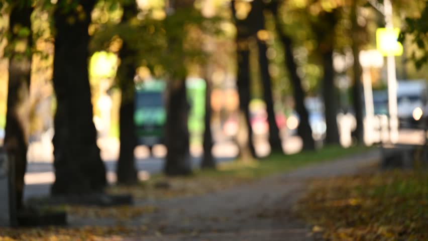  autumn park sunlight defocused background