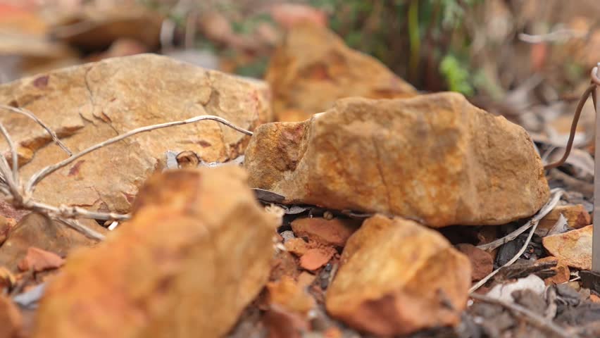 Rocky ground in a desert