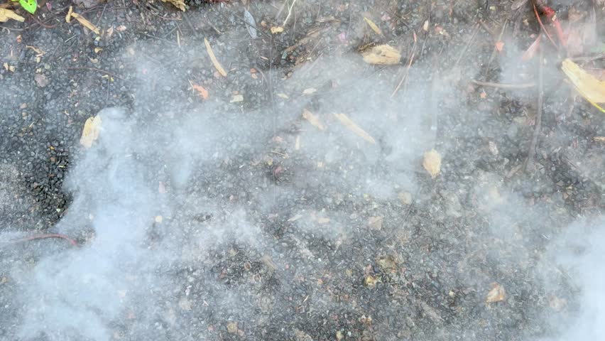 Dense white smoke or fog billows upward over dark soil and stones in natural daylight