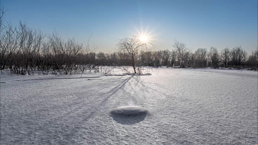 Beautiful winter landscape with snowy field, bare trees silhouetted against bright sun creating dramatic shadows and peaceful natural scenery on clear day.