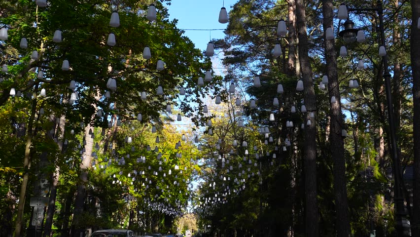 Traveling around Russia. A street in Svetlogorsk is decorated with lanterns; white lanterns are hung in the forest.