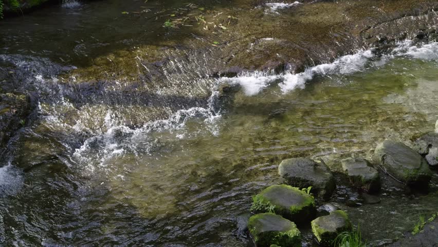 Close up of beautiful river with clear waters flowing through natural landscape